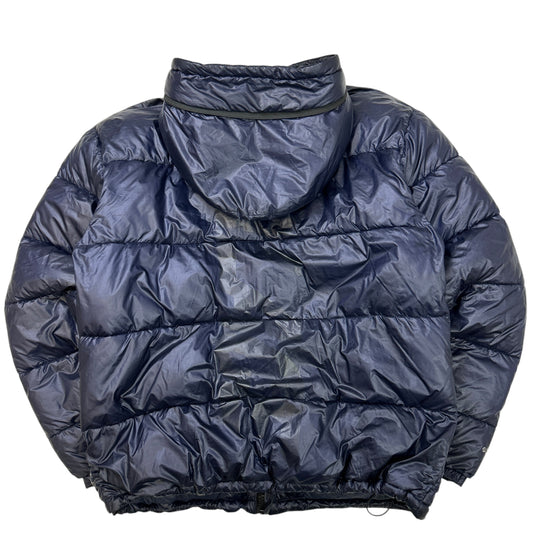 Palace Puffer (L)