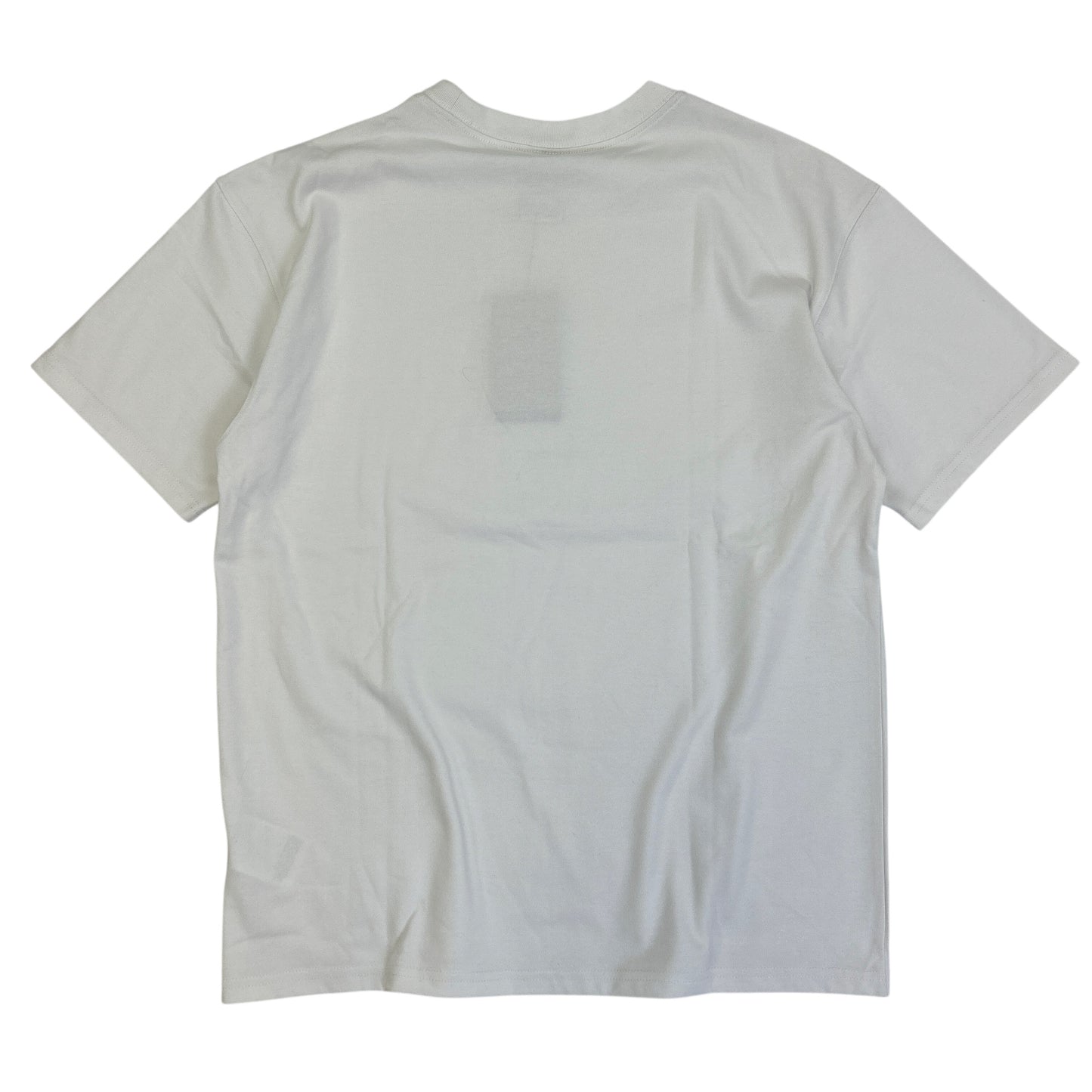 ACG T-Shirt (M)