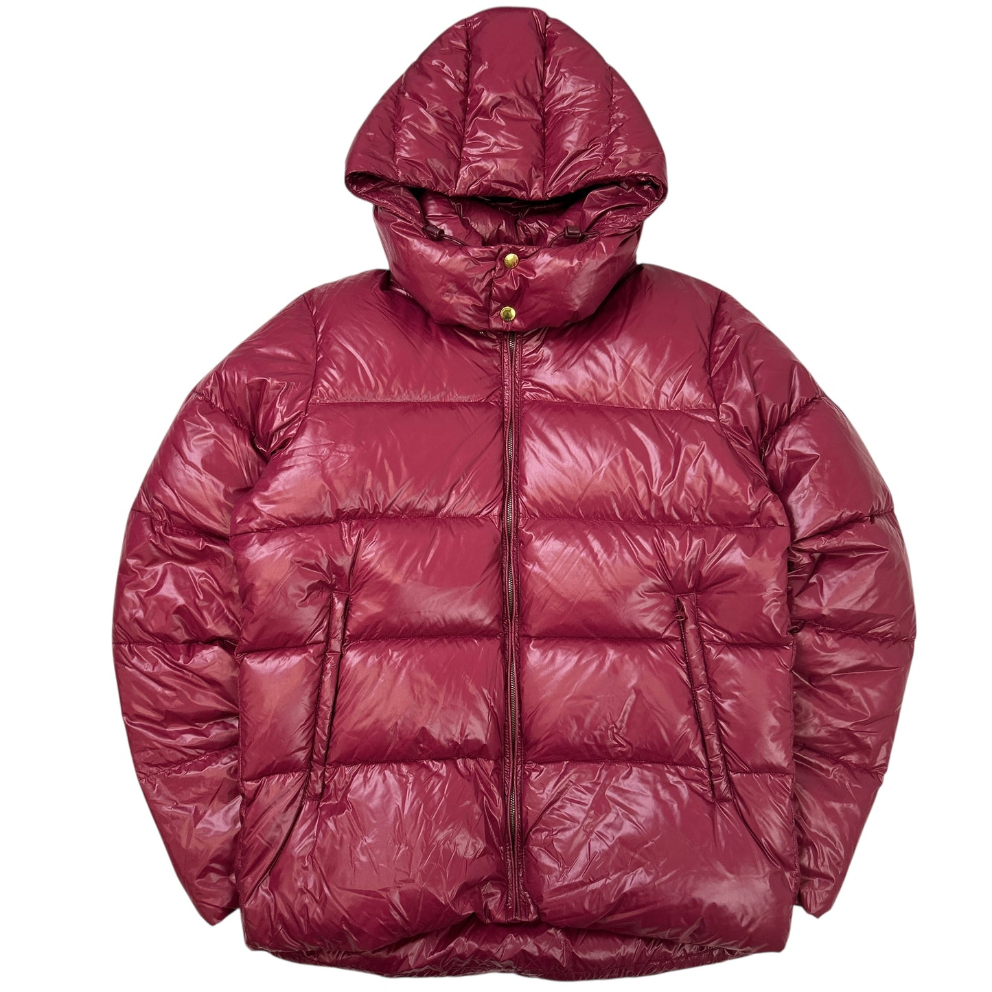 John Bull Puffer (L)