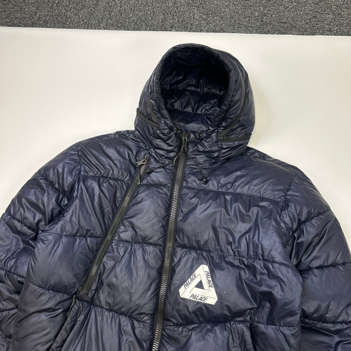 Palace Puffer (L)