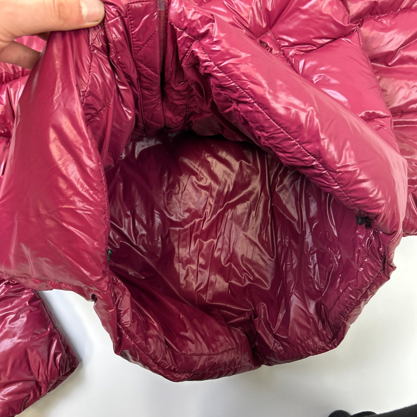 John Bull Puffer (L)