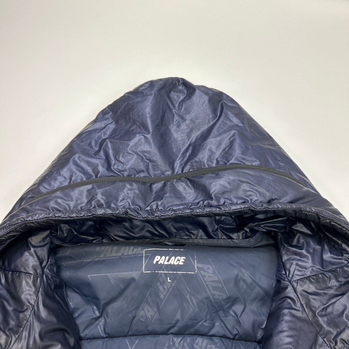 Palace Puffer (L)